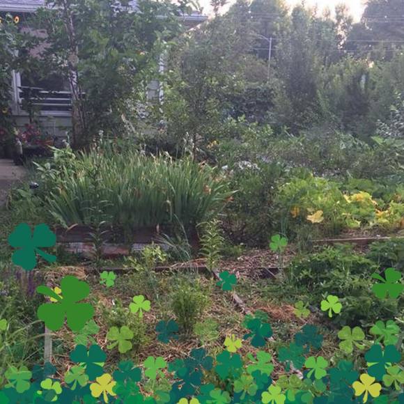 Meet your Posher, Nancy - Picture 1 of 1